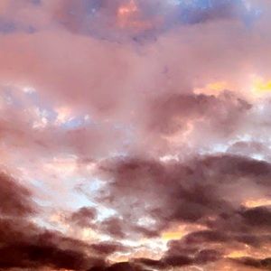 Meet your Posher, Meredith